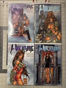The Witchblade Collected Editions Vol. Ómnibus Michael Turner de alta calidad 1-4 - Imagen 1 de 5