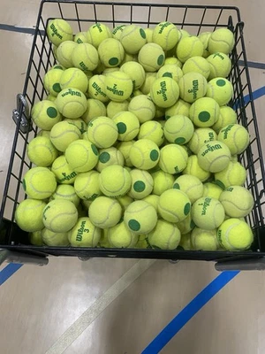 50 Wilson GREEN DOT Tennis Balls EXCELLENT  A QUALITY SEE OTHER LISTED No P Rico - Image 1 of 2