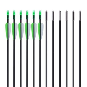 12Pcs 30'' Fiberglass Arrows Archery Spine 1200 For Recuve&Compound Bow Hunting - Picture 1 of 8