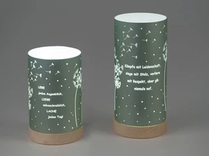 2er Set LED Tischlampen Pusteblume mit Spruch H. 20cm grün mit Timer Formano - Bild 1 von 1