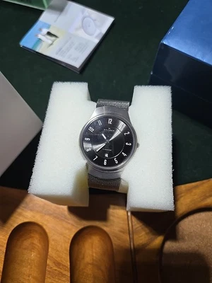 RELÓGIO DATA SKAGEN 533LTTM PULSEIRA DE MALHA DE TITÂNIO 34mm - Imagem 1 de 4