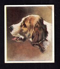 4282/ G. Phillips Ltd. - Our Dogs – No. 30 – Otter Hound