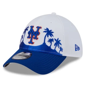 New York Mets New Era 2025 Spring Training Landscape 39THIRTY Flex Hat Cap MLB - Picture 1 of 5