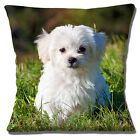 Cute Bichon Frise Puppy Dog Trimmed Photo Print Design 16" Pillow Cushion Cover