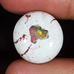 100% Natural Mexican Fire Opal 14.50 Cts Oval Cabochon 17x18x7 mm Gemstone q54 - Picture 1 of 6