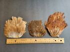 Lot  59, Assorted Hen Back Soft Hackle Variety  Feather Packs for Fly Tying