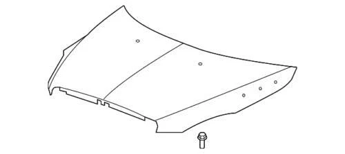 Conjunto de capó genuino GM 2008-2012 Buick Enclave base delantera CX CXL 3,6 L 19354884 Foto 1 de 2