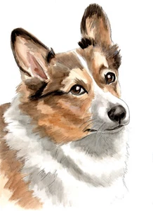 Corgi A4 Format Aquarell und Bleistift Artwork - Bild 1 von 1