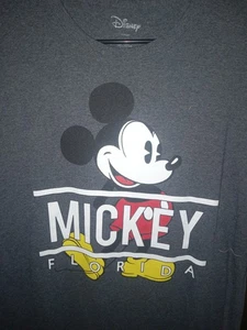 T-shirt uomo Disney Topolino Florida grigia grande - Foto 1 di 1
