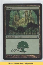 2005 Magic: The Gathering - Ravnica: City of Guilds Foil Forest #304 READ 0a1