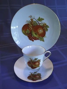 Taza de té, platillo, juego de platos de colección Bareuther Waldsassen Bavaria ~ 122 123 - Imagen 1 de 3