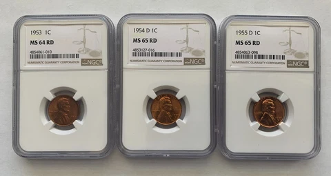 LOT of 3 - NGC Graded MS64RD Lincoln Wheat Cent Penny 1c - 1953 1954-D 1955-D Cover
