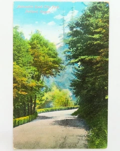 1909 Automobile Road Portland Oregon cartolina antica città parco natura viaggio - Foto 1 di 2