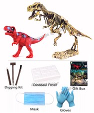 3D Dino Fossil Dig Paleontology STEM Toy T-REX Skeleton Model Education for Kids