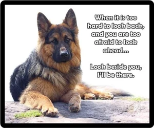 Muy bonito imán de refrigerador difícil de mirar hacia atrás para perros   - Imagen 1 de 1