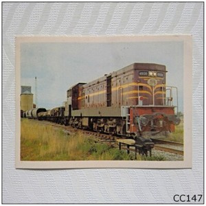 Weet-Bix Get into Training #14 Wheat Trucks Gunningbland Cereal Card (A) (CC147)