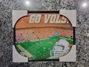Tennessee Volunteers Football 8"x10" foto stadio incorniciata LICENZA UFFICIALE! - Foto 1 di 3