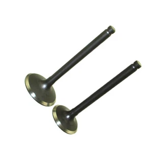 20mm 23mm Intake Exhaust Valves for FOR PIT BIKE LIFAN 110cc VV01 - Picture 1 of 2