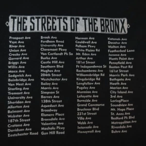THE STREETS OF THE BRONX NEW YORK NYC TEE T SHIRT Sz Mens S City Street Names - Picture 1 of 2