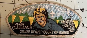 Cascada Consejo del Pacífico 2014 Silver Beaver SA?? SAP CSP TIRA BOY SCOUT BSA - Imagen 1 de 1
