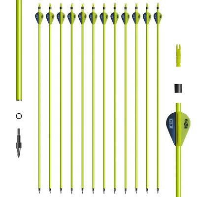 12pcs 31" Carbon Arrows 2" Vane Spine 500 Compound Recurve Bow Superior Hunting - Image 1 of 4