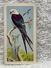 1963 #8 Swallow Tailed Kite Tropical Birds Brook Bond Tea Card USA