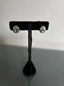 Elegant Crystal With Rhinestone Oval Pierced Earrings - Picture 1 of 2