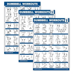 Paquete de 3 pósters de entrenamiento con mancuernas Palace Learning para gimnasio en casa - Imagen 1 de 6