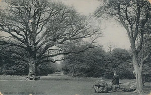 PC71754 The Green Drive. Epping Forest. A. Pettit - Imagen 1 de 2