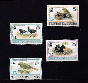 E1248 - Tristan da Cunha 1991 - MNH - Vogels / Birds - (WWF/WNF) - Picture 1 of 1