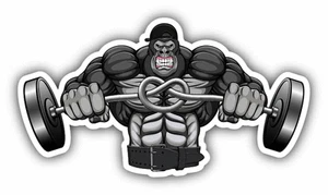 Garilly Strong Gym Fitness Car Bumper Sticker Decal 6" x 3" - Picture 1 of 1