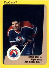 1989-90 ProCards AHL #138 Stan Drulia