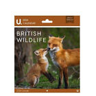 1 x U.® 2024 Wand British Wildlife Kalender.