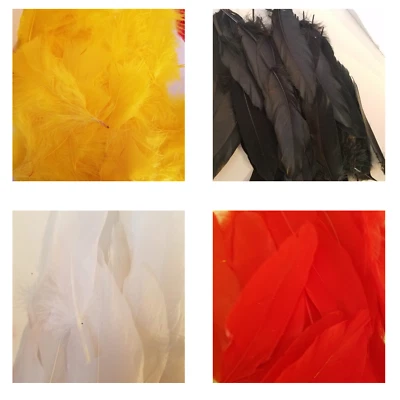 Plumas teñidas amarillas, rojas, blancas y negras, disfraz de Halloween 2"x6", más de 200 piezas Foto 1 de 4