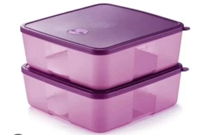 Tupperware Freezer Keeper Date Dial With Dateline Lilac And Purple Set of 2 New - Picture 1 of 2