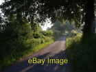 Photo 6x4 Lane at Hayne Stowford/SX4386 This treelined lane runs alongsi c2007