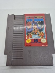 Tag Team Wrestling Nintendo NES