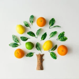 Wandbild:  Baum aus Zitrusfrüchten, Orangen, Zitronen, Limetten und grünen [...] - Bild 1 von 4