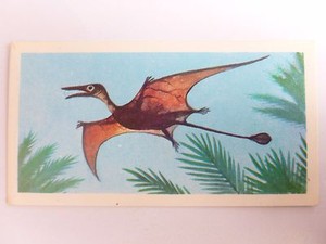 Brooke Bond Prehistoric Animals tea card 27. Rhamphorynchus. Dinosaur Pterosaur.