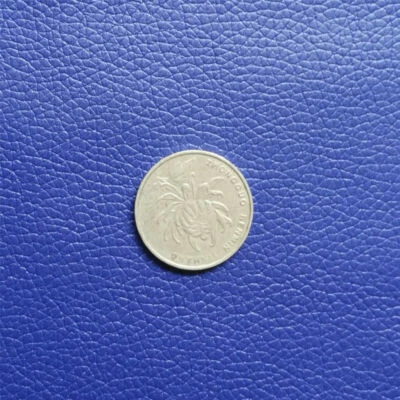 Litchi Faux Synthetic PU Leather Fabric For Sewing Bow DIY Bag Shoes Material - Image 1 of 4