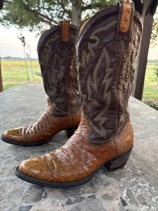 Botas de Vaquero Para Hombres De Colección Primo Envejecidas Montana Pluma Completa Avestruz Talla 9 D - Imagen 1 de 12