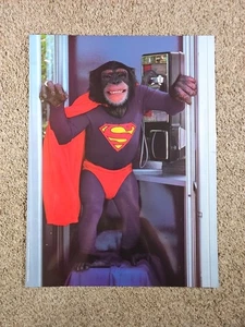 1992 Scholastic Buchmesse Superman Affe in Telefonzelle 24x18 Poster Bild - Bild 1 von 4