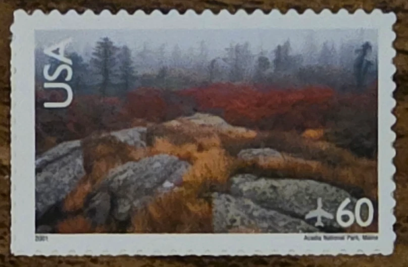 US - Scott C138 - Acadia National Park - Air Post - MNH - Image 1 of 1