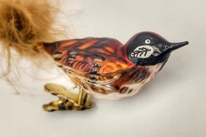 Vidrio Soplado Clip-On Adorno de Pájaro Cola de Pluma Decoración Tradicional de Navidad - Imagen 1 de 5