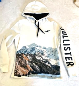 VTG RARE Hollister Hoodie SWEATSHIRT Spell Out MOUNTAIN SCENE GRAPHIC ADULT SM - Picture 1 of 4