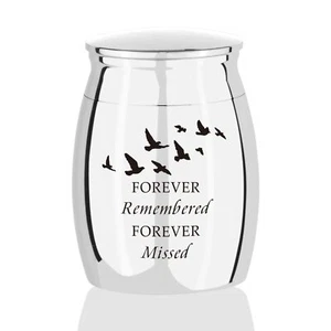 Mini Cremation Urns For Human Ashes Small Urns For Human Ashes Forever Remembere - Picture 1 of 6