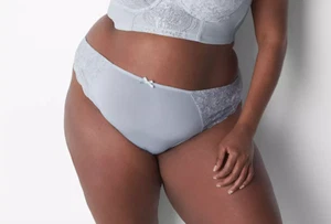 Cacique~New With Tags~Metallic Lace High-Leg Panty~Size 22-24W (2-2X) - Picture 1 of 8