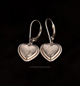 Muonionalusta Meteorite Heart Earrings .925 - Picture 1 of 2