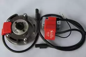 Selettra KZ komplett innen Zündung System für Zündapp CS 25 CS 50 Dmon00131284 - Bild 1 von 1