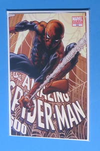 Amazing Spider-Man #600 2009 envolvente 1:15 Joe Quesada variante cubierta casi nueva/casi nueva+ - Imagen 1 de 18